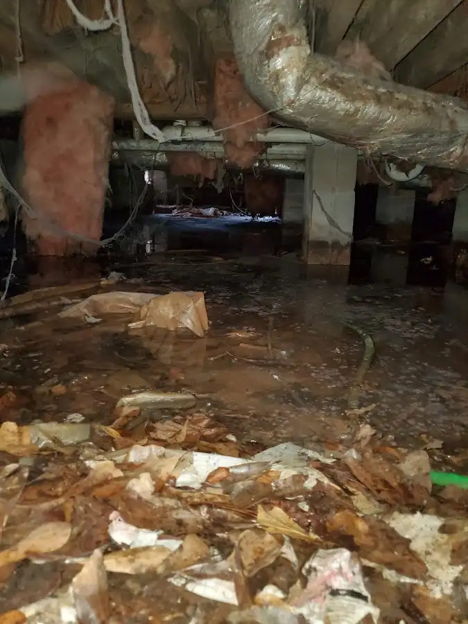 Crawl space flood assessment for Leak Detection & Repair in Semmes