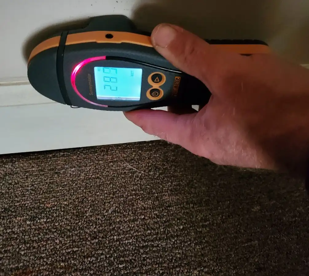 Moisture detection at baseboard during Storm Damage Restoration in Semmes